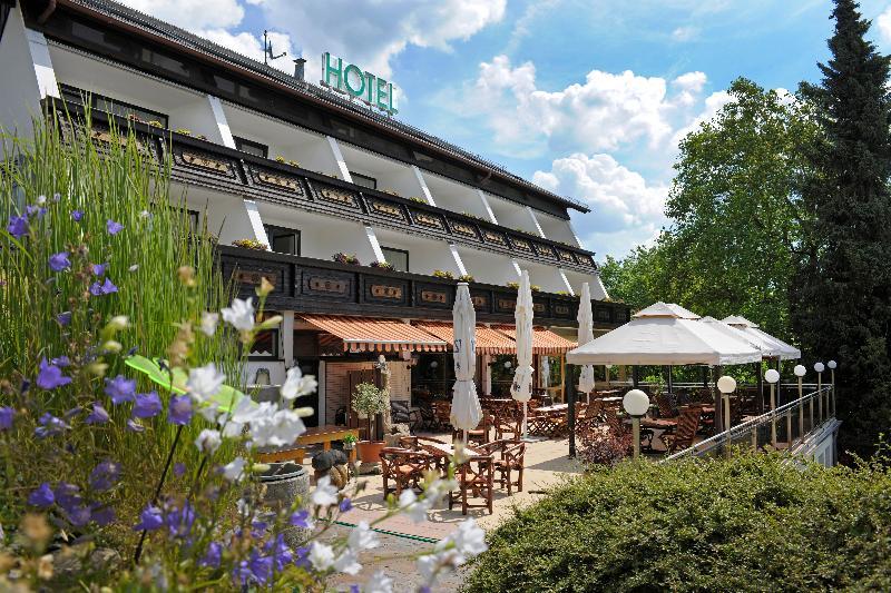 Hotel Bergschloesschen Зиммерн Экстерьер фото